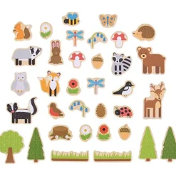 Bigjigs Toys 35 Piece Magnet Set