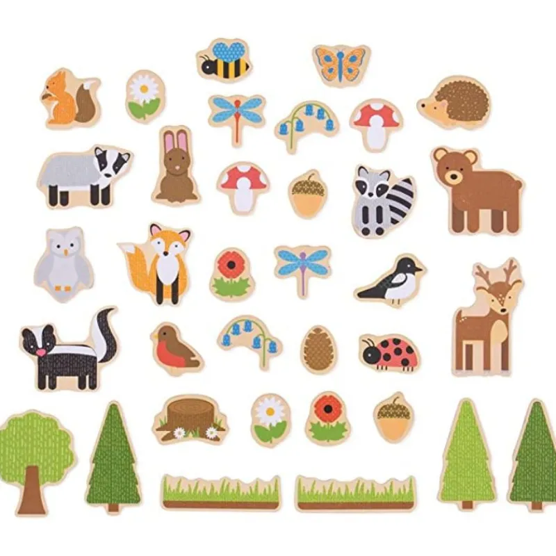 Bigjigs Toys 35 Piece Magnet Set