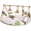 Tiny Love Boho Chic Luxe Developmental Gymini