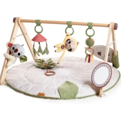 Tiny Love Boho Chic Luxe Developmental Gymini