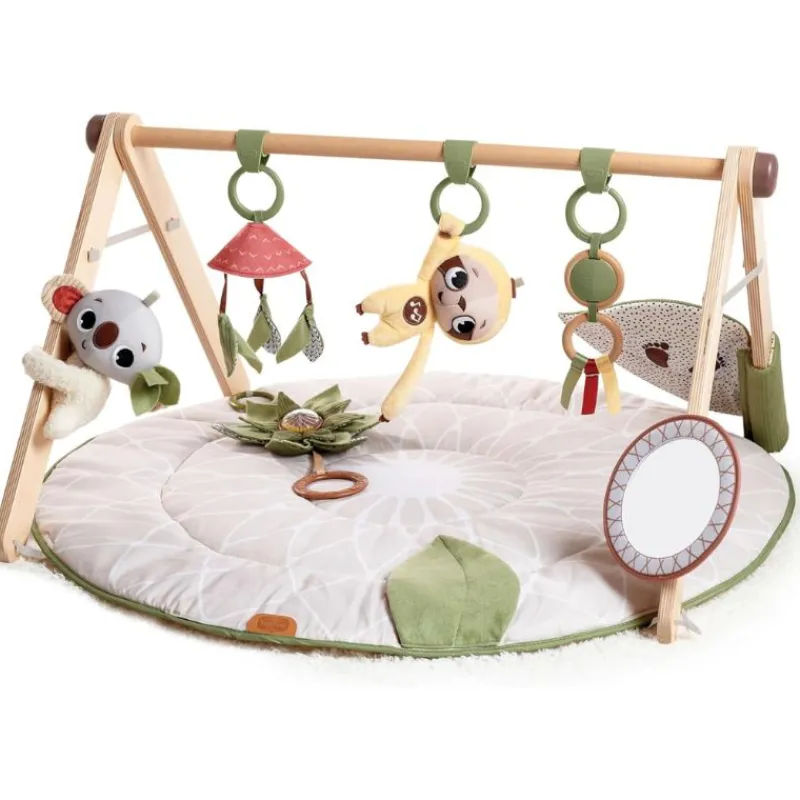 Tiny Love Boho Chic Luxe Developmental Gymini