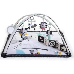 Tiny Love Deluxe Gymini Activity Mat