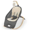 Ingenuity Every Season Rocking Seat - Wesley