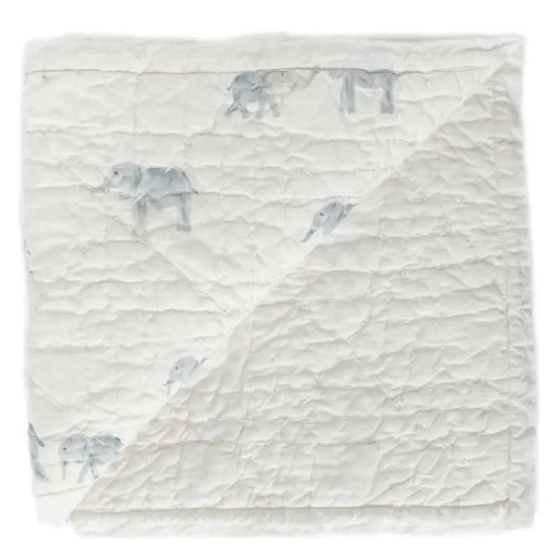 Pehr Designs Hatchlings Blanket