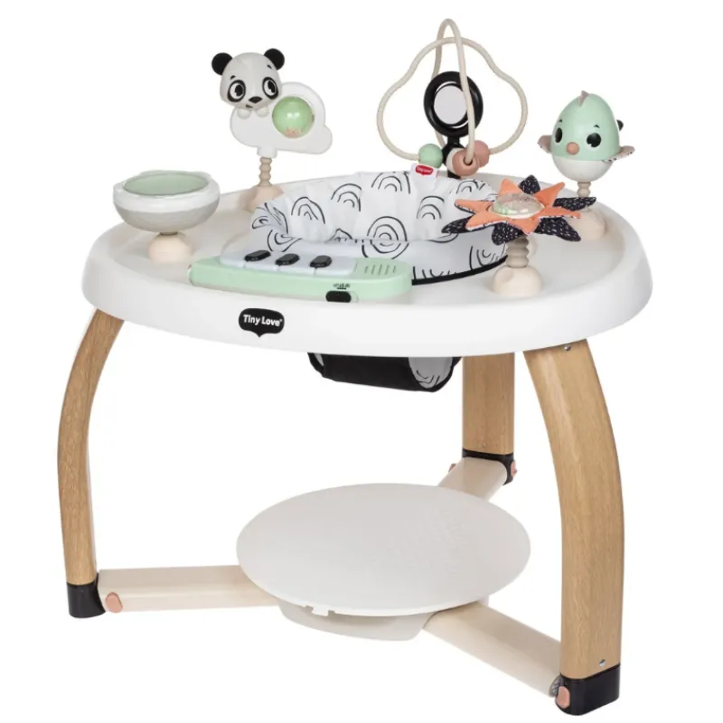 Tiny Love 5-in-1 Here I Grow Stationary Activity Center