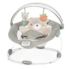 Ingenuity InLighten Bouncer