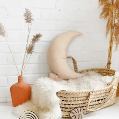 The Butter Flying Moon Pillow