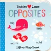 Thomas Allen Opposites Board Book