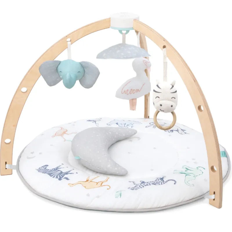 Aden & Anais Rising Star Activity Gym