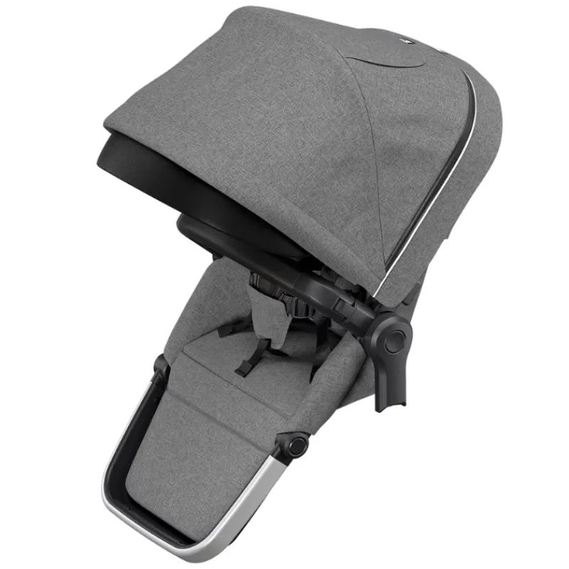 Thule Sleek Sibling Seat