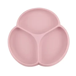 Glitter and Spice Suction Plate