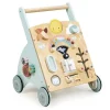 TenderLeaf Sunshine Baby Activity Walker