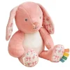 Itzy Ritzy Sweetie Snuggles Plush Toy