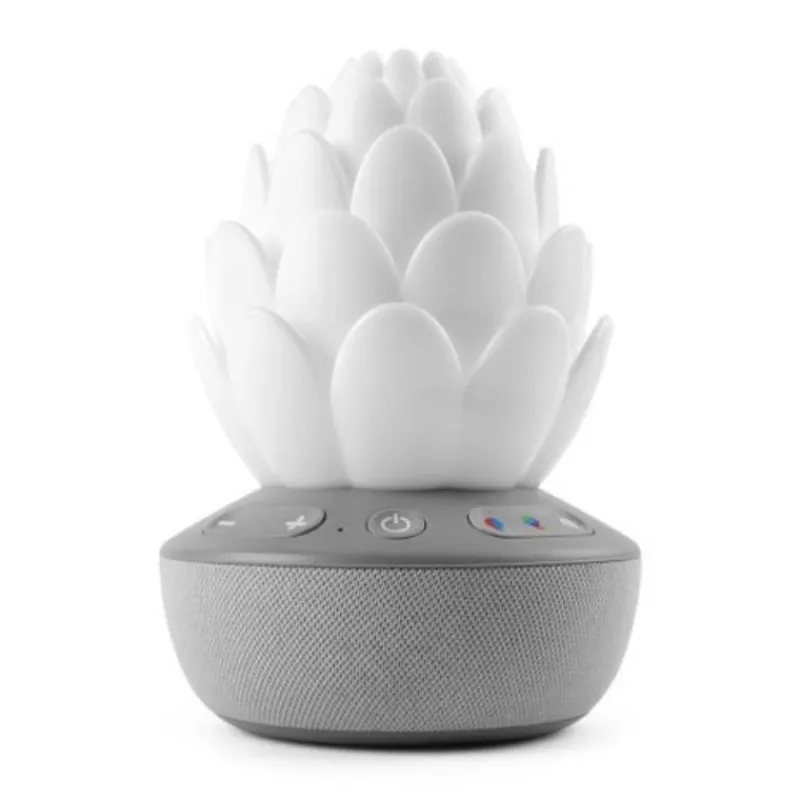 Skip Hop Terra Cry - Activated Soother