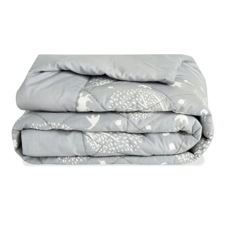 Aden & Anais Weighted Toddler Blanket