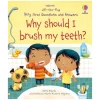 Harper Collins Canada Why Should I Brush My Teeth Flap Book